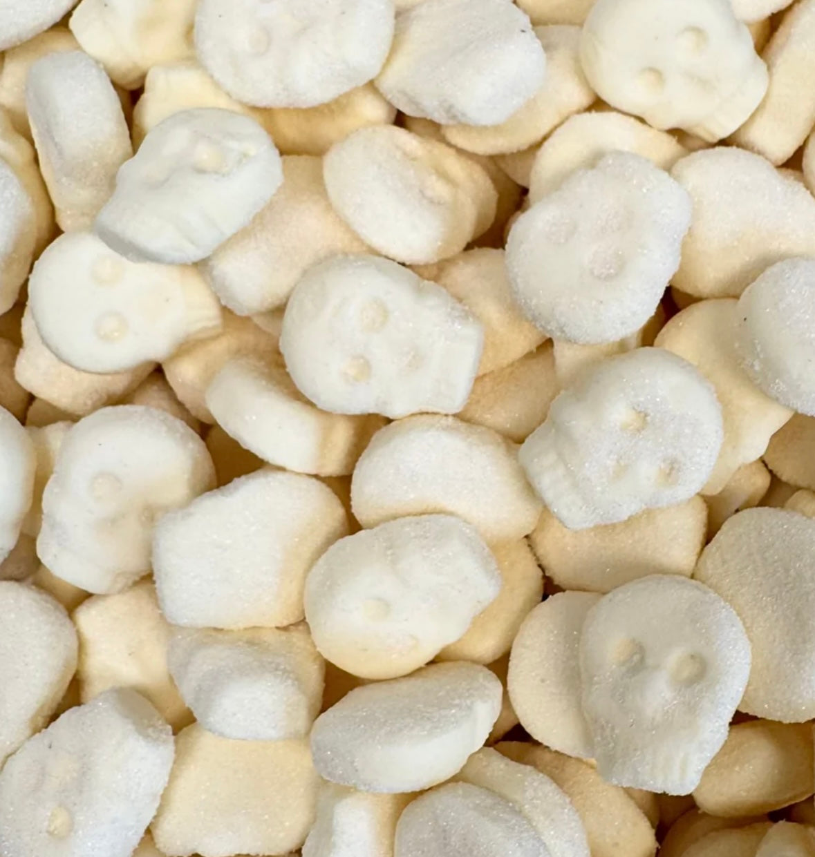 FOAMY TROPICAL SKULLS